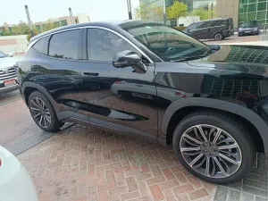 2024 جيتور داشينج