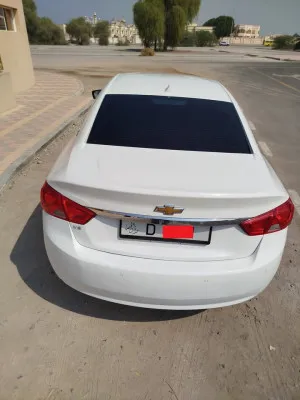 2019 شيفروليه إمبالا LT