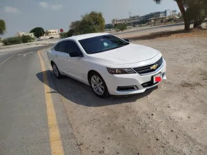 2019 شيفروليه إمبالا LT