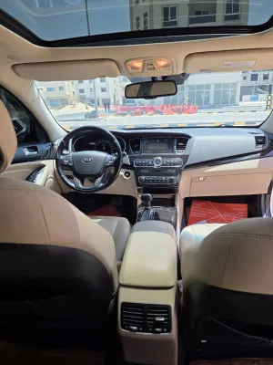 2015 Kia Cadenza Premium