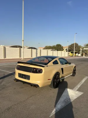 2014 فورد موستانج Shelby GT350