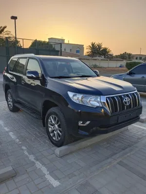 2019 Toyota Prado GXL