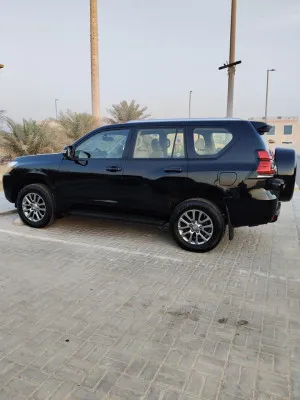 2019 Toyota Prado GXL
