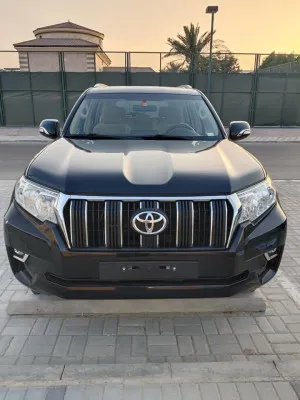 2019 Toyota Prado GXL