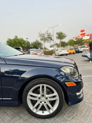 2014 Mercedes-Benz C-Class C250