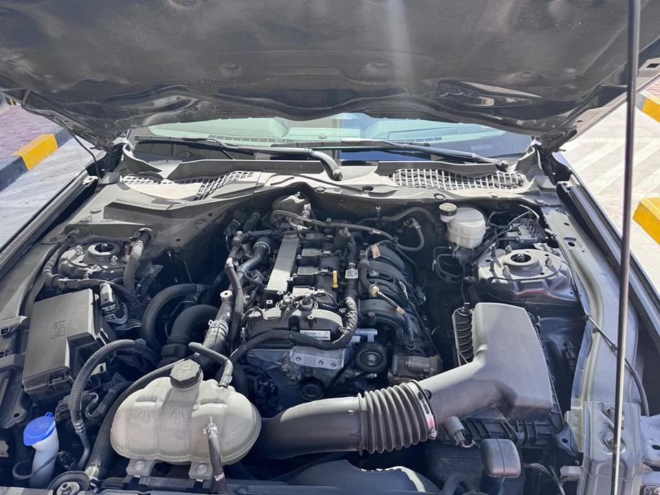 2023 فورد موستانج Shelby GT350