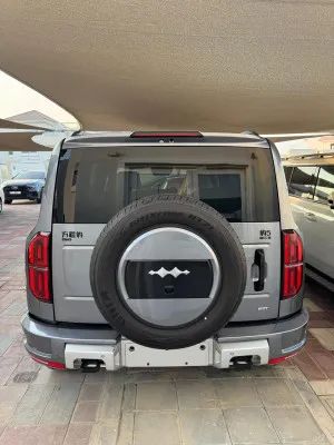 2025 بي واي دي ليوبارد