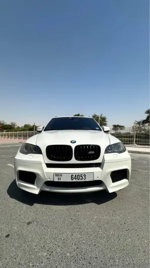2010 بي أم دابليو اكس - 5 4.6i