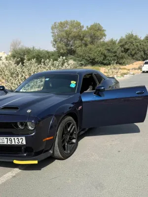 2016 Dodge Challenger R/T