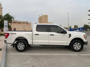 2021 فورد أف ١٥٠ Platinum