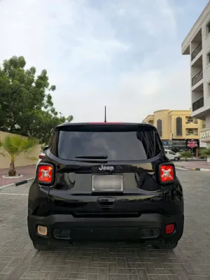 2019 جييب رينجيد Limited
