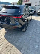 2024 لكزس NX - ان اكس NX350h