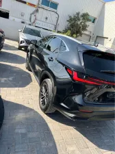 2024 لكزس NX - ان اكس NX350h