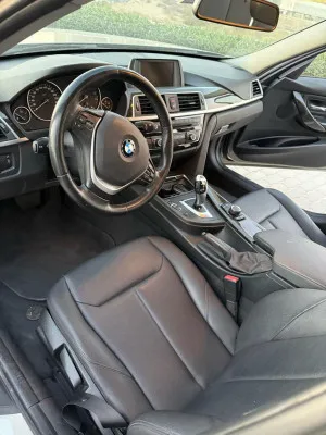 2015 BMW 3-Series 318i