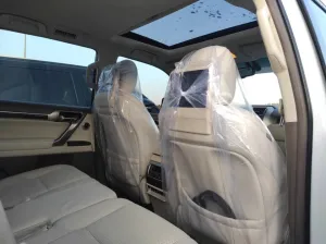 2010 Lexus GX 460 Premium