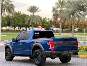 2017 فورد رابتر