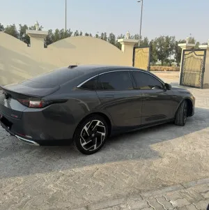 2024 تشانجن ايدو