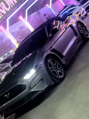 2020 Ford Mustang EcoBoost