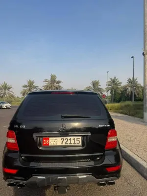 2010 Mercedes-Benz ML ML63 AMG