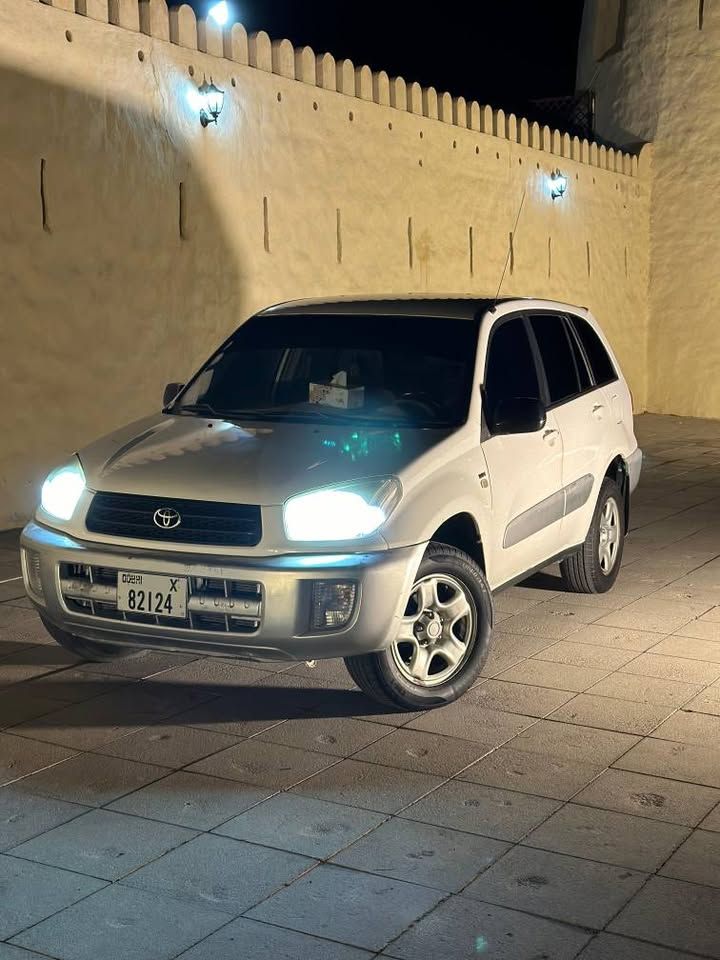 2003 Toyota Rav4 SE