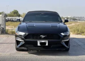 2023 فورد موستانج EcoBoost Convertible