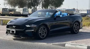 2023 فورد موستانج EcoBoost Convertible