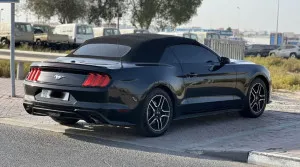 2023 فورد موستانج EcoBoost Convertible