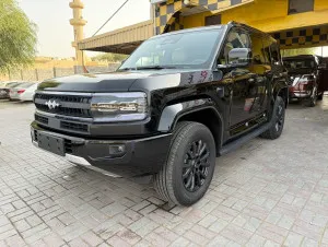 2025 بي واي دي ليوبارد