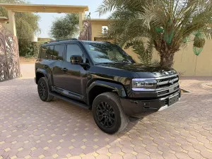 2025 بي واي دي ليوبارد