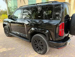 2025 بي واي دي ليوبارد