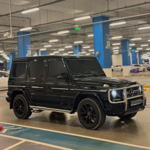 2004 Mercedes-Benz G-Class G500