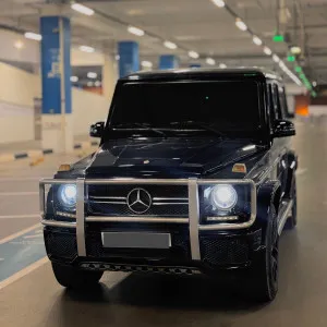 2004 Mercedes-Benz G-Class G500