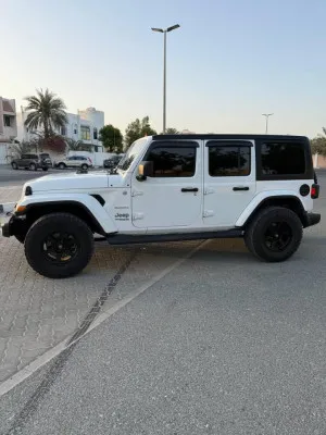 2020 جييب رانجلر انليميتد Rubicon