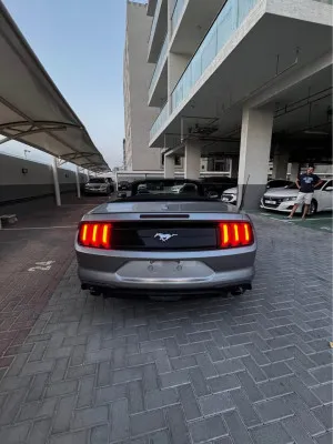 2021 فورد موستانج GT Premium Convertible