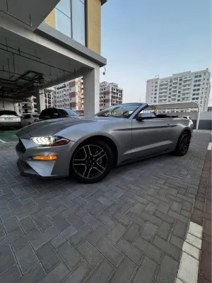 2021 فورد موستانج GT Premium Convertible