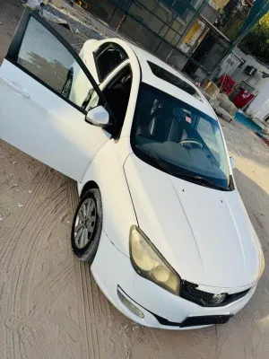 2016 MG 3