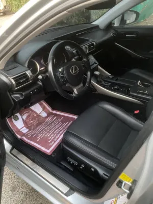 2014 Lexus IS IS 250