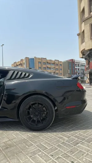 2017 فورد موستانج EcoBoost Convertible