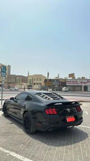 2017 فورد موستانج EcoBoost Convertible