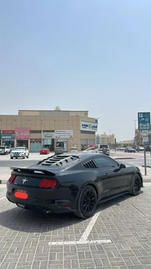 2017 فورد موستانج EcoBoost Convertible