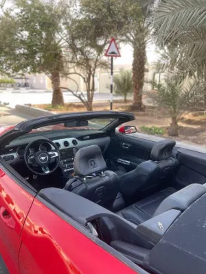 2015 Ford Mustang EcoBoost Convertible