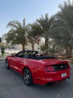2015 Ford Mustang EcoBoost Convertible