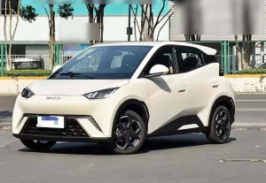 2025 بي واي دي سيجال
