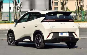 2025 بي واي دي سيجال