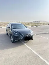 2020 Lexus NX NX450h+