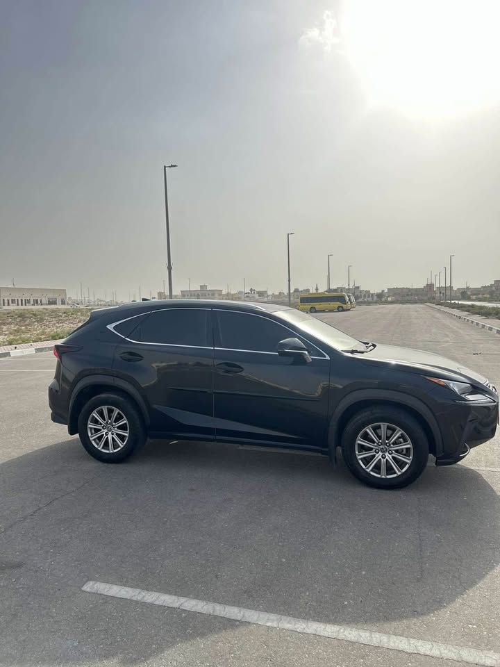 2020 Lexus NX NX450h+