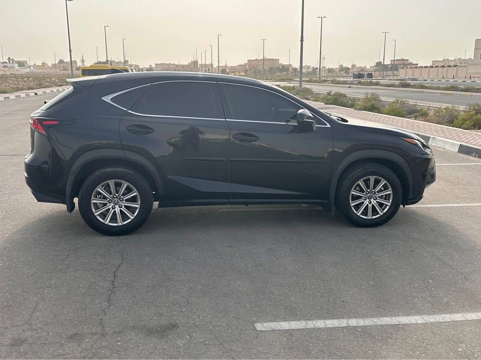 2020 Lexus NX NX450h+