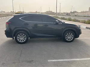 2020 Lexus NX NX450h+