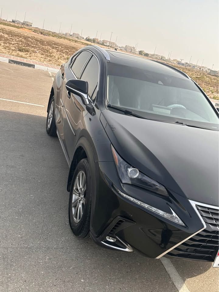 2020 Lexus NX NX450h+