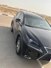 2020 Lexus NX NX450h+